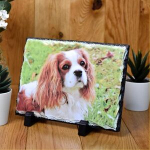 Photo Slate from £14.99